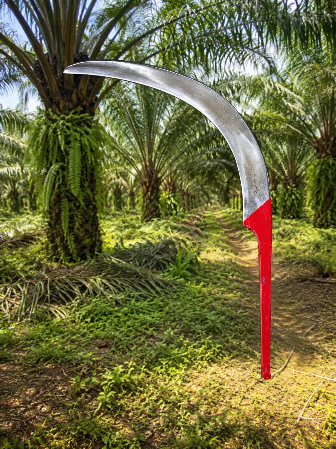 Egrek Long Special / Special Long Sickles